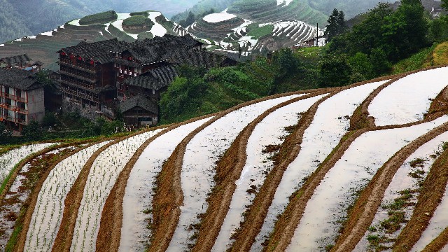 拼多多补单软件