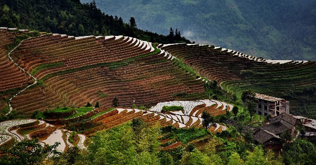 拼多多补单软件