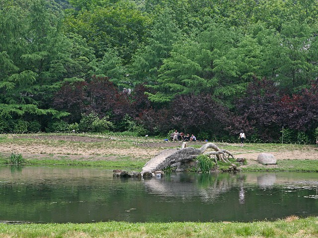 拼多多补单软件