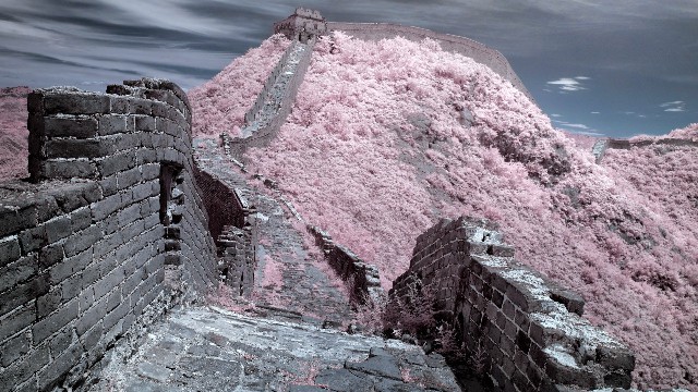 拼多多补单软件