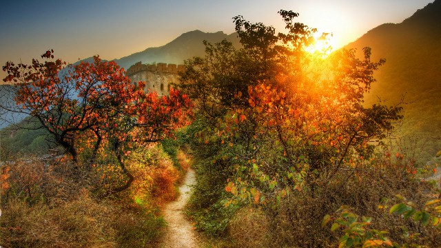 拼多多补单软件