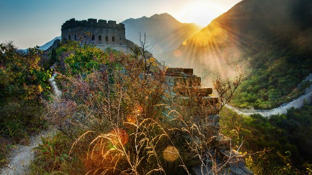 拼多多补单软件