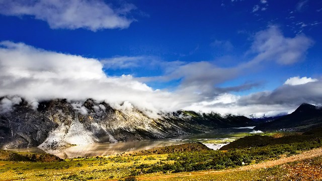 拼多多补单软件