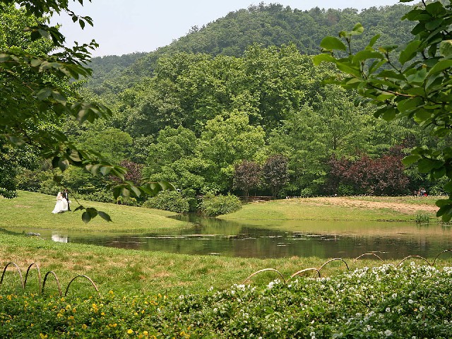 拼多多补单软件