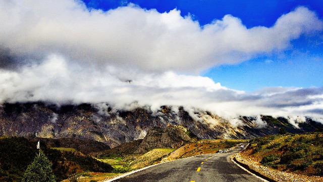 拼多多补单软件