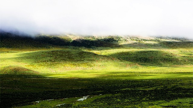 拼多多补单软件