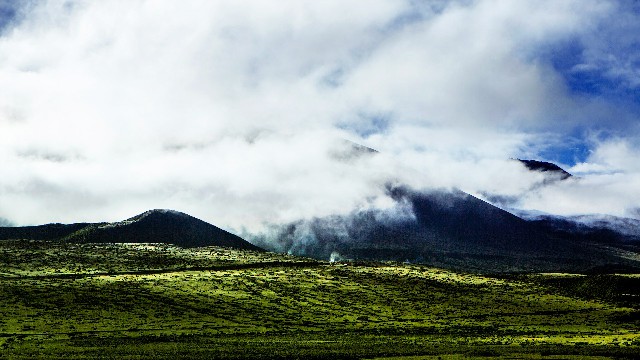 拼多多补单软件