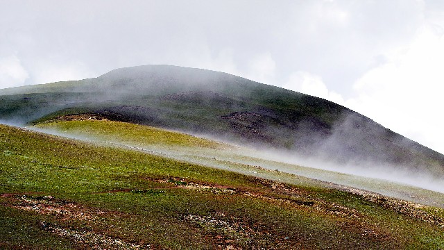 拼多多补单软件