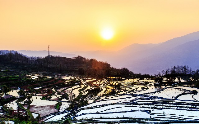 拼多多补单软件