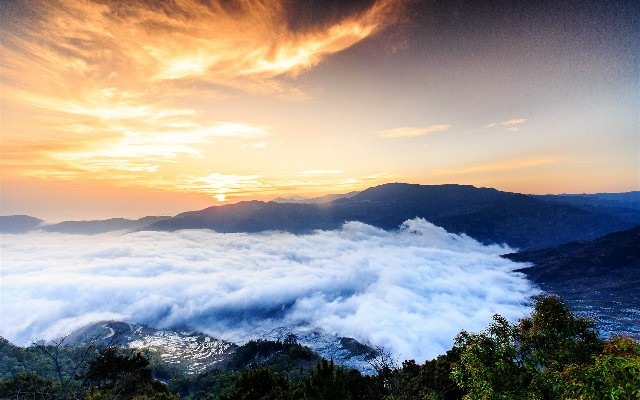 拼多多补单软件