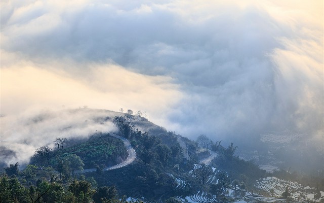 拼多多补单软件