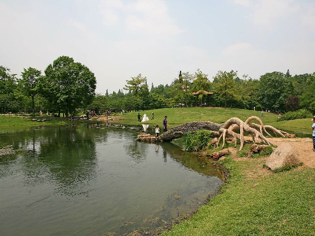 拼多多补单软件