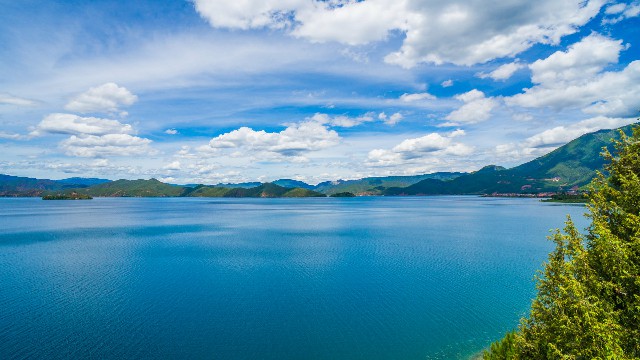 拼多多补单软件