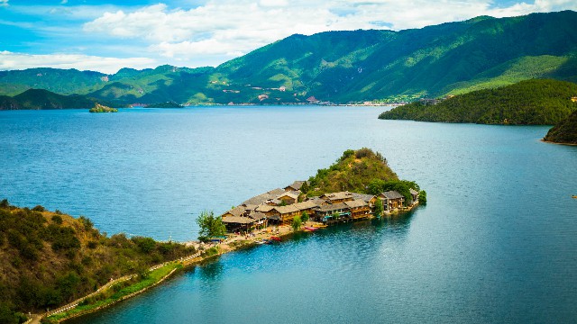 拼多多补单软件