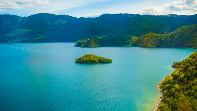 拼多多补单软件