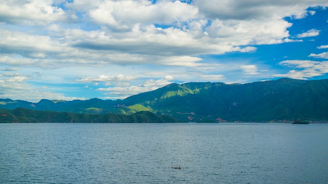 拼多多补单软件