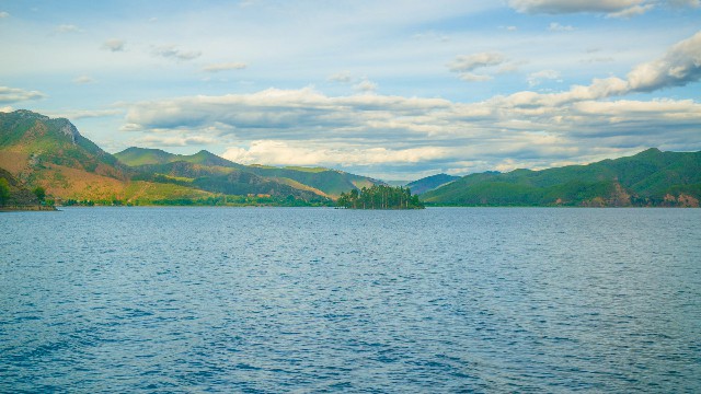 拼多多补单软件