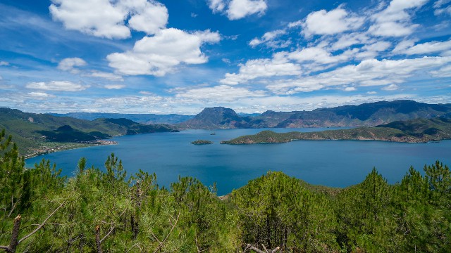 拼多多补单软件