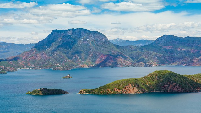 拼多多补单软件