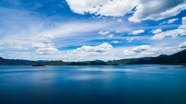 拼多多补单软件