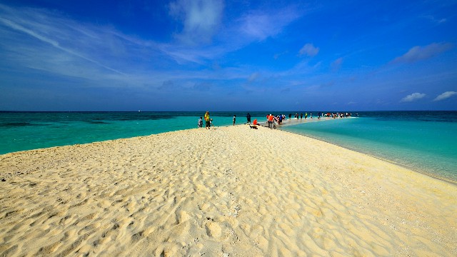 拼多多补单软件