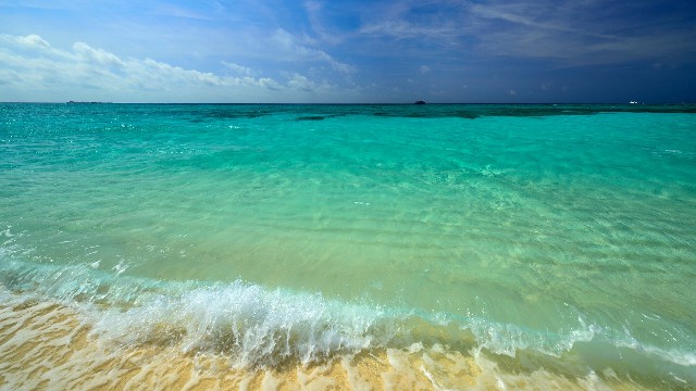 拼多多补单软件