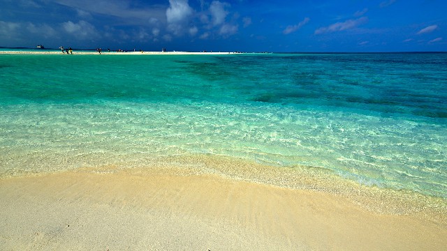 拼多多补单软件