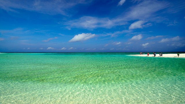 拼多多补单软件