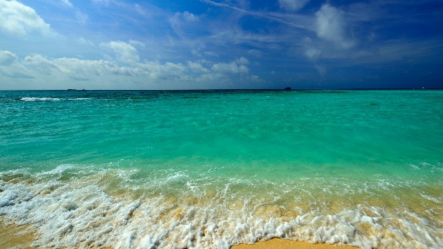 拼多多补单软件