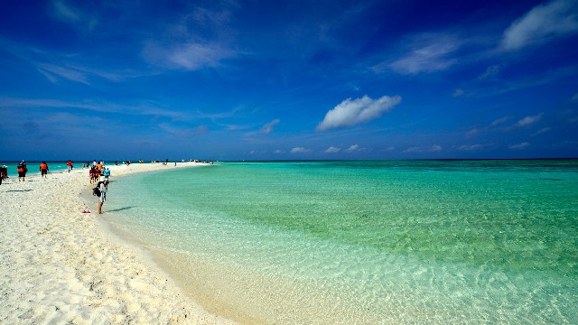 拼多多补单软件