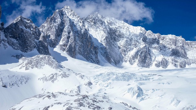 拼多多补单软件