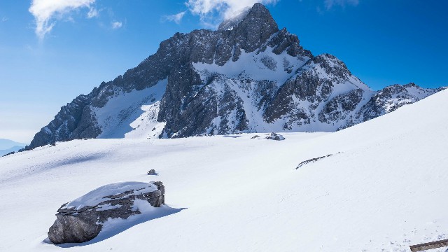 拼多多补单软件