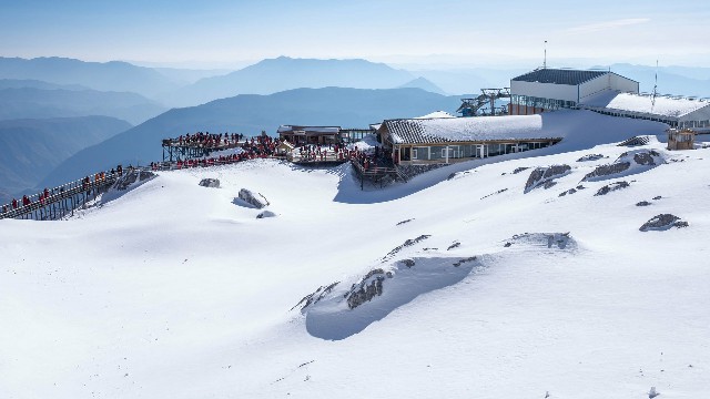 拼多多补单软件