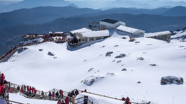 拼多多补单软件