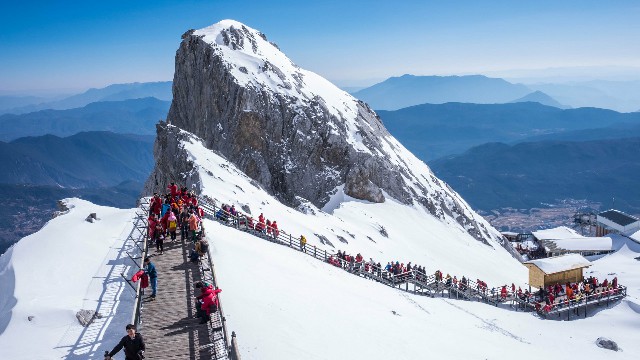 拼多多补单软件