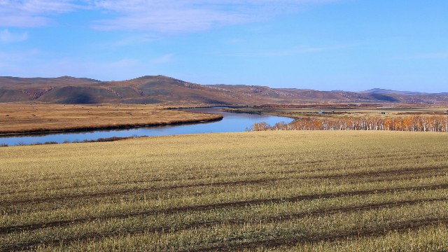 拼多多补单软件