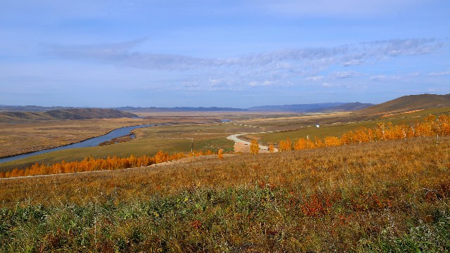 拼多多补单软件