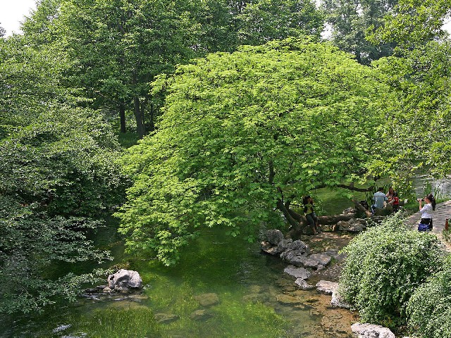 拼多多补单软件