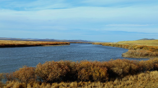 拼多多补单软件