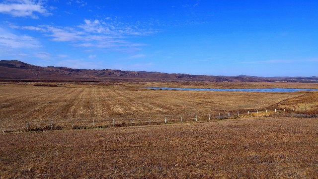拼多多补单软件