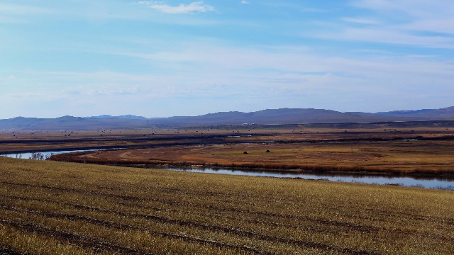 拼多多补单软件
