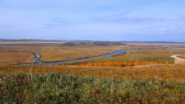 拼多多补单软件