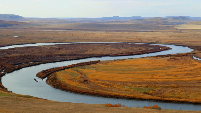 拼多多补单软件