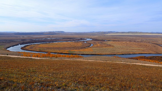 拼多多补单软件