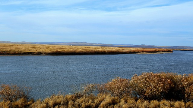 拼多多补单软件