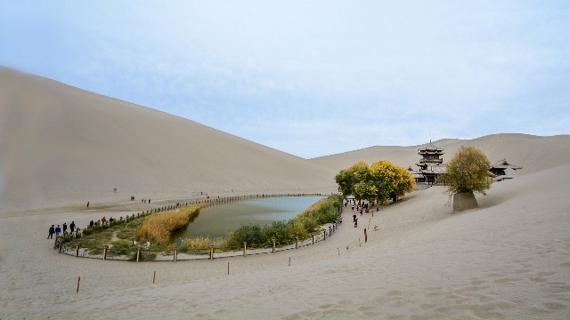 拼多多补单软件