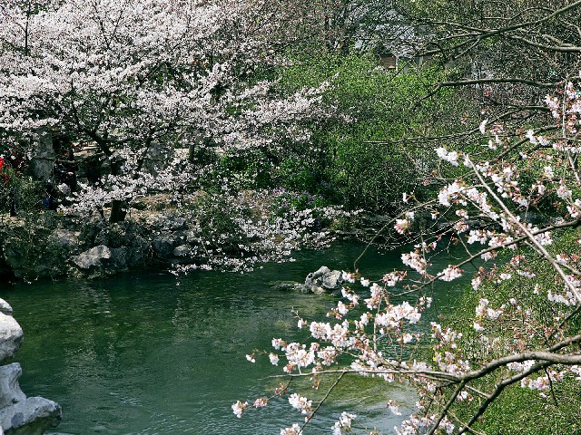 拼多多补单软件