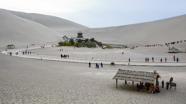 拼多多补单软件