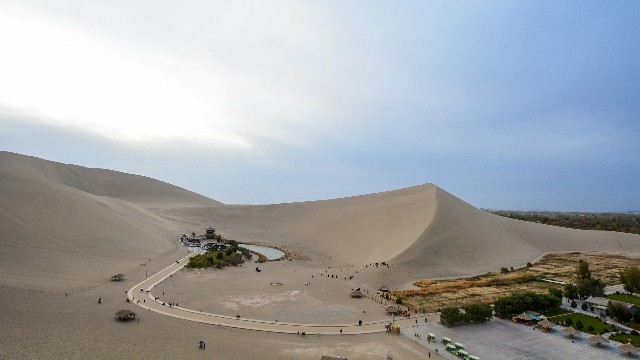 拼多多补单软件