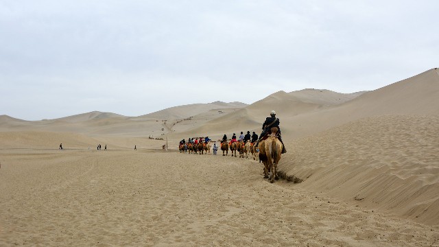 拼多多补单软件